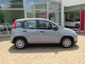 Fiat Panda 1.0 FireFly S&S Hybrid Grigio - thumbnail 2