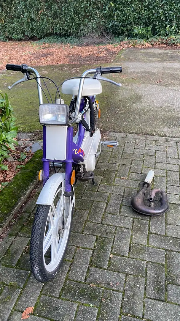 Honda Camino funny + proma-uitlaat Paars - 2