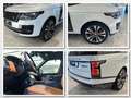 Land Rover Range Rover SV AUTOBIOGRAPHY DYNAMIC*VOLL AUSST. Blanc - thumbnail 4