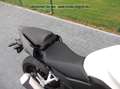 Honda CB 500 Hornet ABS  NEU! Fehér - thumbnail 7