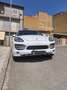 Porsche Cayenne 3.0 V6 tdi 245cv tiptronic - thumbnail 2