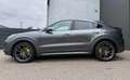 Porsche Cayenne E-Hybrid Gris - thumbnail 8