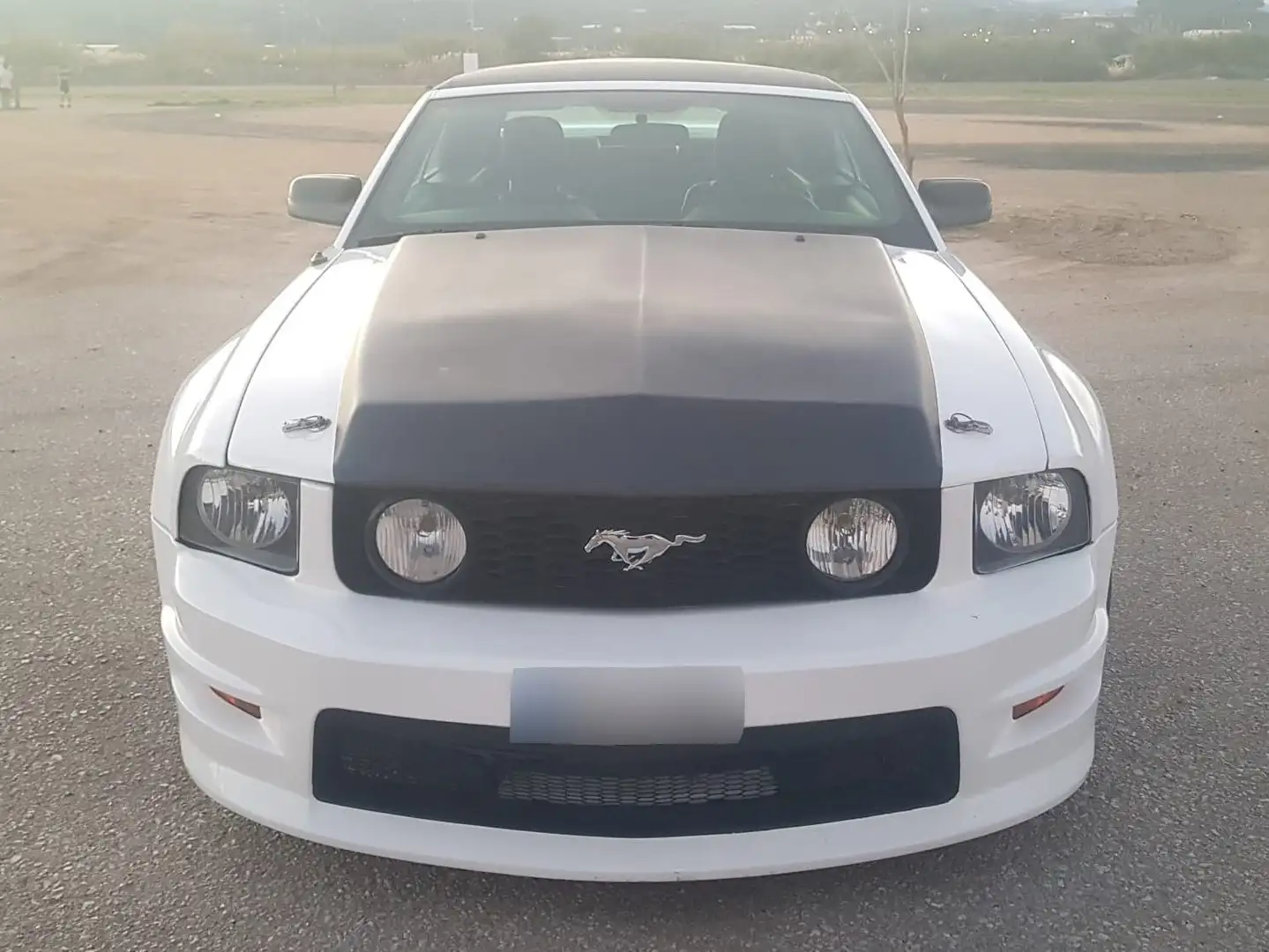 Ford Mustang Blanco - 2