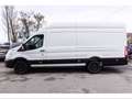 Ford Transit 350 2.0TDCi EcoBlue 170CV PL-TM Furgone Trend Bianco - thumbnail 3