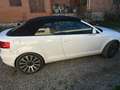 Audi A3 A3 Cabrio 1.9TDI Ambition Ambition Blanco - thumbnail 15