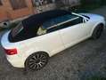 Audi A3 A3 Cabrio 1.9TDI Ambition Ambition Blanco - thumbnail 14
