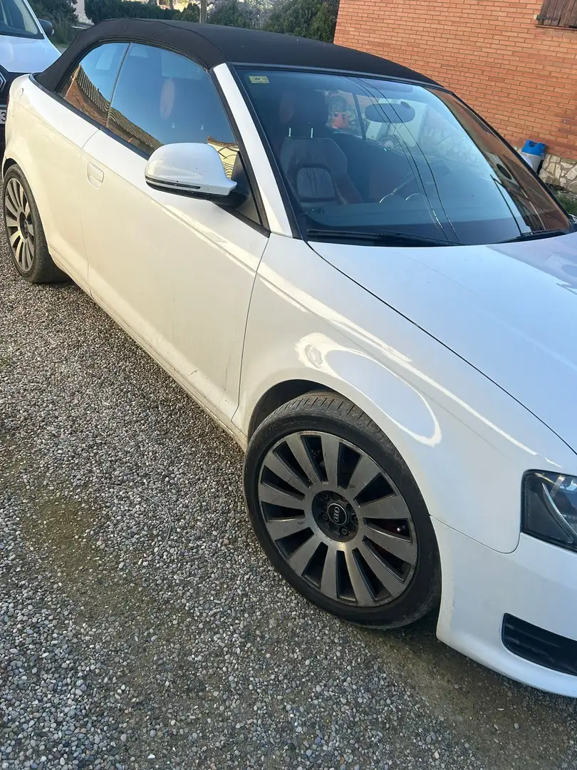 Audi A3 A3 Cabrio 1.9TDI Ambition Ambition Blanco - 2