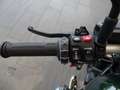 BMW R 12 nineT Verde - thumbnail 11