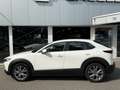 Mazda CX-30 2.0 e-SkyActiv-X M Hybrid Comfort Wit - thumbnail 3