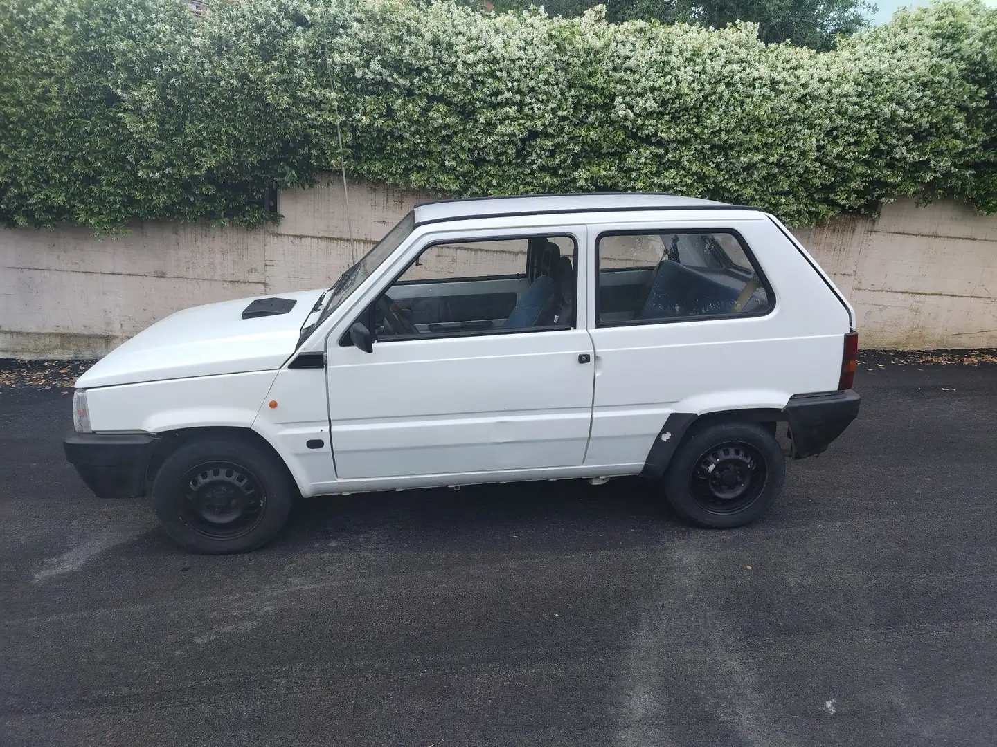 Fiat Panda 2 wd Panda Young - 1