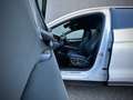 BYD Sealion 7 Excellence AWD 91.5 kWh 530PS GEWERBE AKTION Білий - thumbnail 6