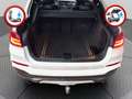 BMW X4 M40i PERFORMANCE *Aut.*Leder*Pano.*Head-Up* Weiß - thumbnail 12