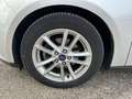 Ford Focus 1.5 TDCi 120 CV Start&Stop SW Business Argent - thumbnail 11