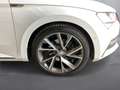 Skoda Superb Sportline TDI DSG Weiß - thumbnail 6
