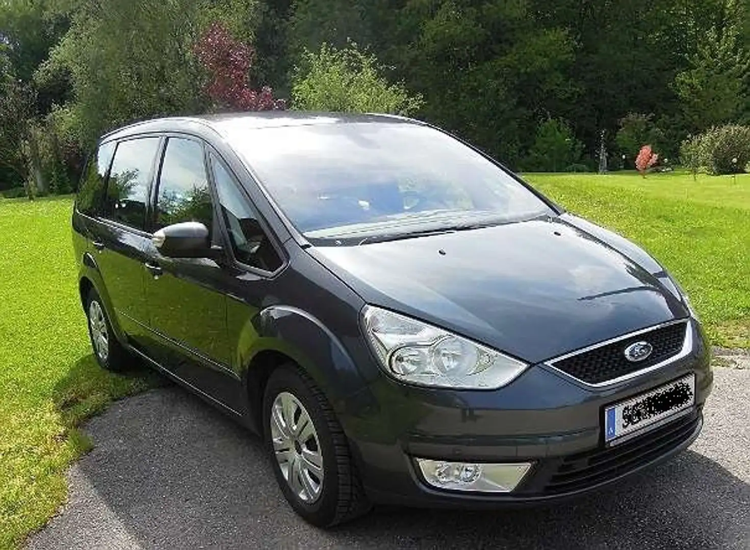 Ford Galaxy Galaxy Trend 2,0 TDCi DPF Stage IV Trend Stage IV Gris - 2