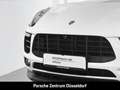 Porsche Macan S BOSE Panoramadach Surround-View 20-Zoll Weiß - thumbnail 10