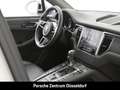 Porsche Macan S BOSE Panoramadach Surround-View 20-Zoll Weiß - thumbnail 25