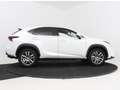 Lexus NX 300h AWD 25th Edition | Leder | Stoelverwarming | Adapt Wit - thumbnail 14