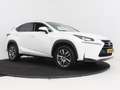 Lexus NX 300h AWD 25th Edition | Leder | Stoelverwarming | Adapt Wit - thumbnail 15