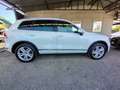 Volkswagen Touareg Touareg 3.0 V6 tdi Terrain Executive  tiptronic Bianco - thumbnail 6