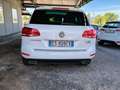 Volkswagen Touareg Touareg 3.0 V6 tdi Terrain Executive  tiptronic Bianco - thumbnail 4