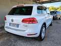 Volkswagen Touareg Touareg 3.0 V6 tdi Terrain Executive  tiptronic Bianco - thumbnail 5