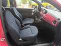 Fiat 500 Cult 1.0 Hybrid 70 CV Rot - thumbnail 16