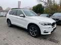 BMW X5 xDrive 30 d HUD Pano AHK RFK Navi Leder Scheckheft Blanco - thumbnail 4
