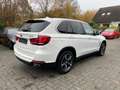 BMW X5 xDrive 30 d HUD Pano AHK RFK Navi Leder Scheckheft Blanco - thumbnail 5