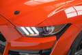 Ford Mustang Shelby GT 500 Naranja - thumbnail 16