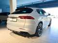 Maserati Grecale Grecale 2.0 mhev Modena 330cv auto - thumbnail 4