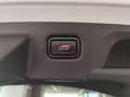 Kia ProCeed / pro_cee'd III 2022 1.5 t-gdi mhev GT Line 160cv dct Weiß - thumbnail 27