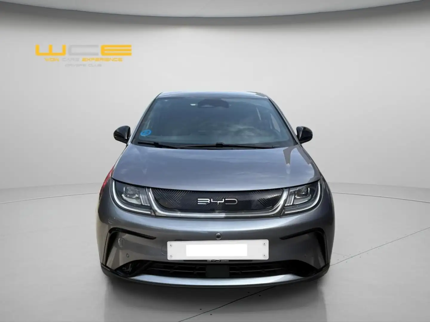 BYD Dolphin Comfort Gris - 2