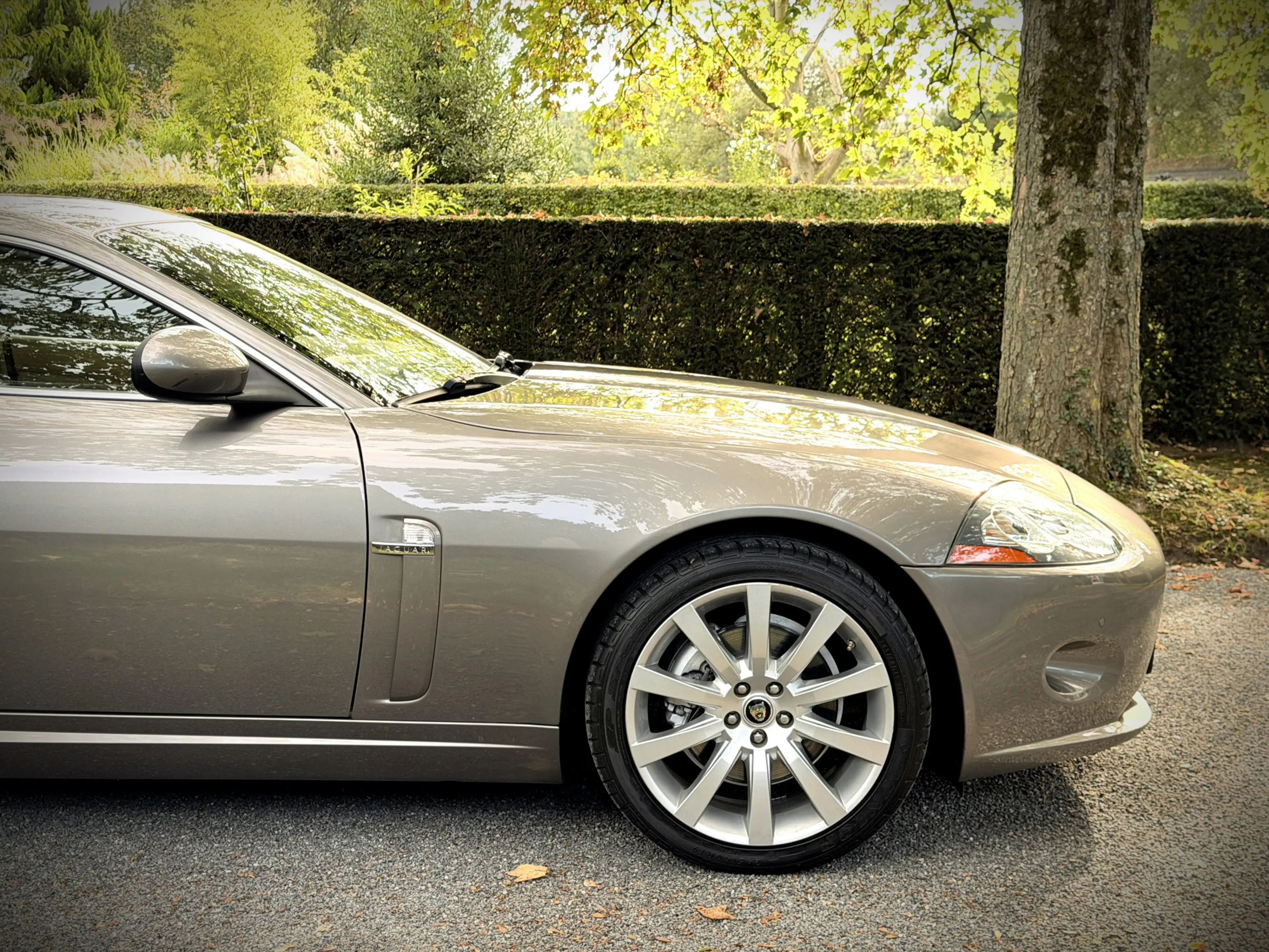 Jaguar XK 4.2 V8 Coupé — photo 34