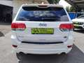 Jeep Grand Cherokee 3.0 CRD Overland * HARMAN*LED*4X4 Blanc - thumbnail 6