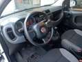Fiat Panda Panda III 2021 1.0 firefly hybrid s Bianco - thumbnail 6