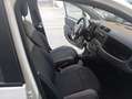 Fiat Panda Panda III 2021 1.0 firefly hybrid s Bianco - thumbnail 7