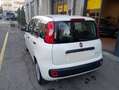 Fiat Panda Panda III 2021 1.0 firefly hybrid s Bianco - thumbnail 3