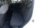 Fiat Panda Panda III 2021 1.0 firefly hybrid s Bianco - thumbnail 8