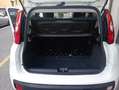 Fiat Panda Panda III 2021 1.0 firefly hybrid s Bianco - thumbnail 9