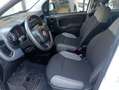 Fiat Panda Panda III 2021 1.0 firefly hybrid s Bianco - thumbnail 5