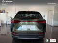 Lexus NX 450h+ Premium+ 4WD Verde - thumbnail 5