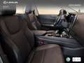 Lexus NX 450h+ Premium+ 4WD Verde - thumbnail 24