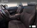Lexus NX 450h+ Premium+ 4WD Verde - thumbnail 16