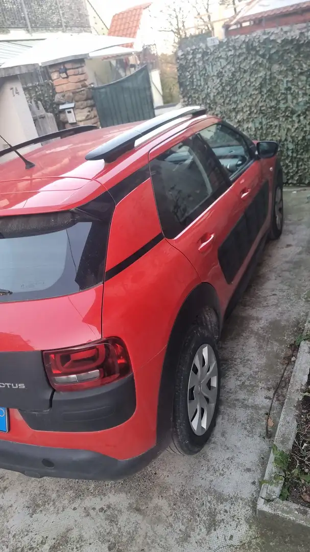 Citroen C4 C4 Cactus 2014 Cactus 1.6 bluehdi Shine s Rosso - 1