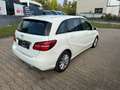 Mercedes-Benz B 180 Style*AHK*Klima*PDC Blanc - thumbnail 5