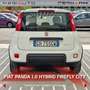 Fiat Panda Panda 1.0 FireFly S&S Hybrid City Life Blanc - thumbnail 17