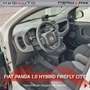 Fiat Panda Panda 1.0 FireFly S&S Hybrid City Life Blanc - thumbnail 6