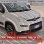 Fiat Panda Panda 1.0 FireFly S&S Hybrid City Life Blanc - thumbnail 4