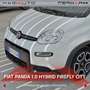 Fiat Panda Panda 1.0 FireFly S&S Hybrid City Life Blanc - thumbnail 5